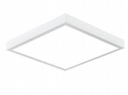 ���� �� ����� ���� ����