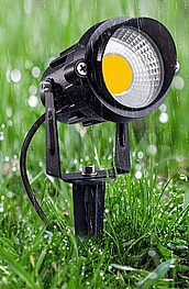 ����� ���� ���