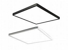 ���� ���� ����� �� ������