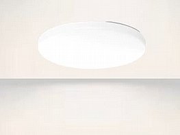 ����� ���� ����� ������ ����� - �� ����� ���� �������