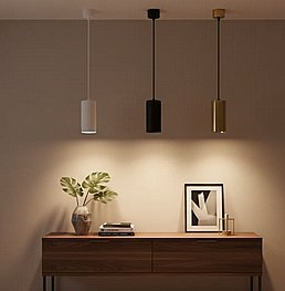 ���� ������� �� ����������