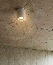 ������� ���� ���