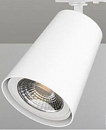 ���� ����� 