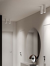 ������� ����