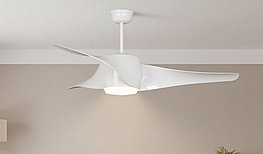 ������ ���� ����� ������ ������