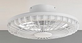 ������ ����  �� ������ ������