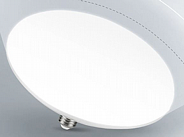 ���� �����