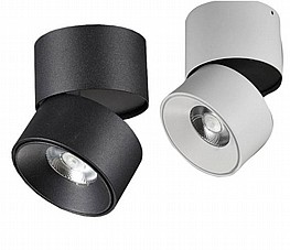 ���� �������