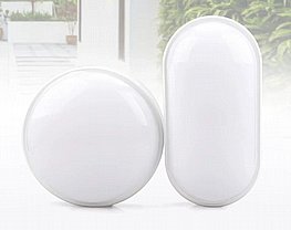 ��� ���� ���� ���� ��� BULK - ���� �� ����� ���� �� ��� - ���� 10+2 ����