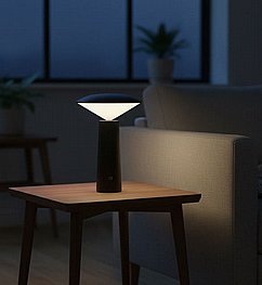 ����� ����� ������ �����  - ������ ���� ����