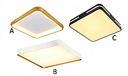 ���� ���� ����� - ������