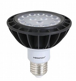 ���� �� PAR 30